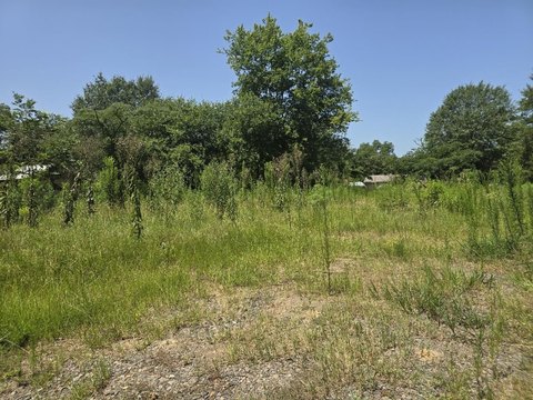 LAND - Linden, TX