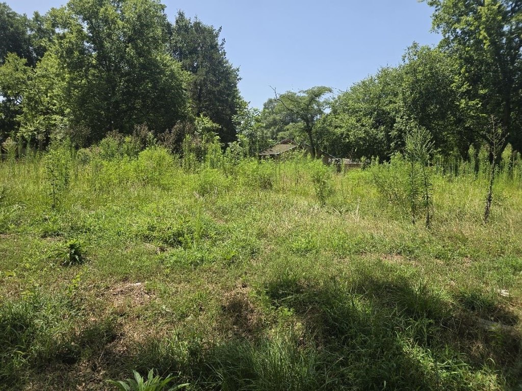 Picture 4