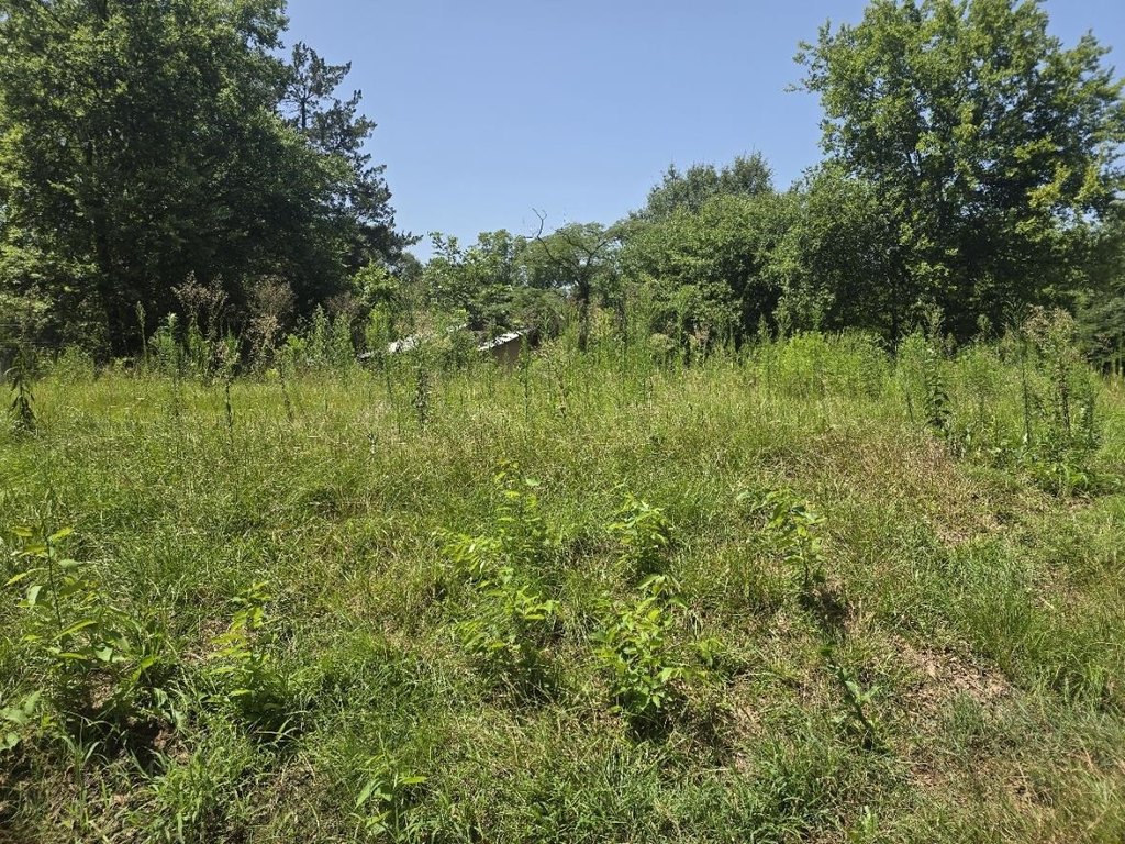 Picture 3