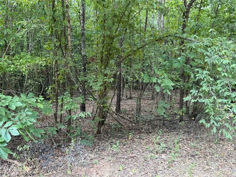 LAND - Simms, TX