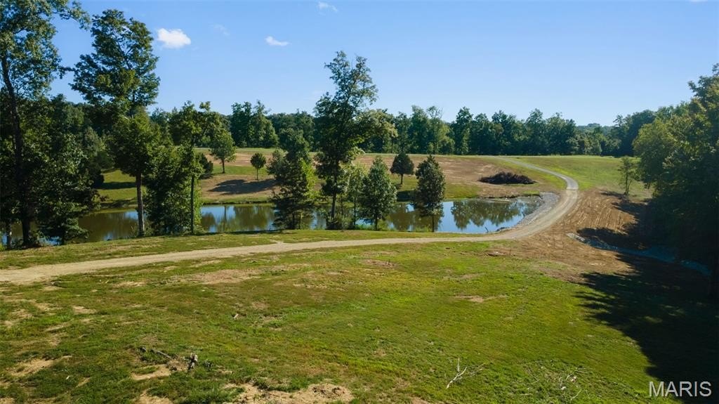 Picture 7