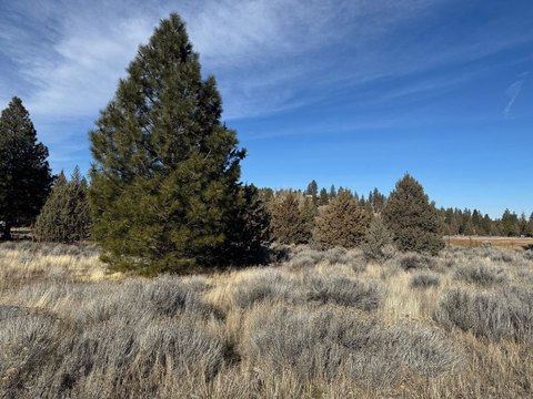 Weed, CA Land For Sale