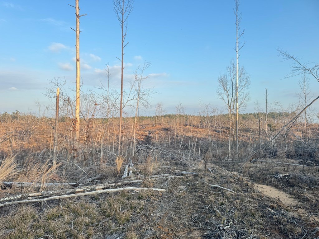 Picture 18