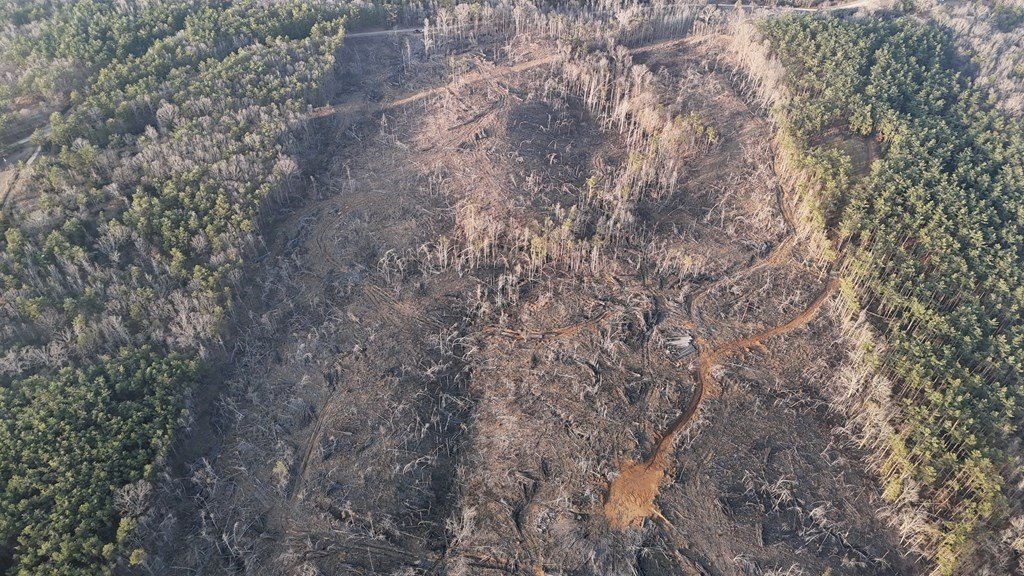 Picture 17