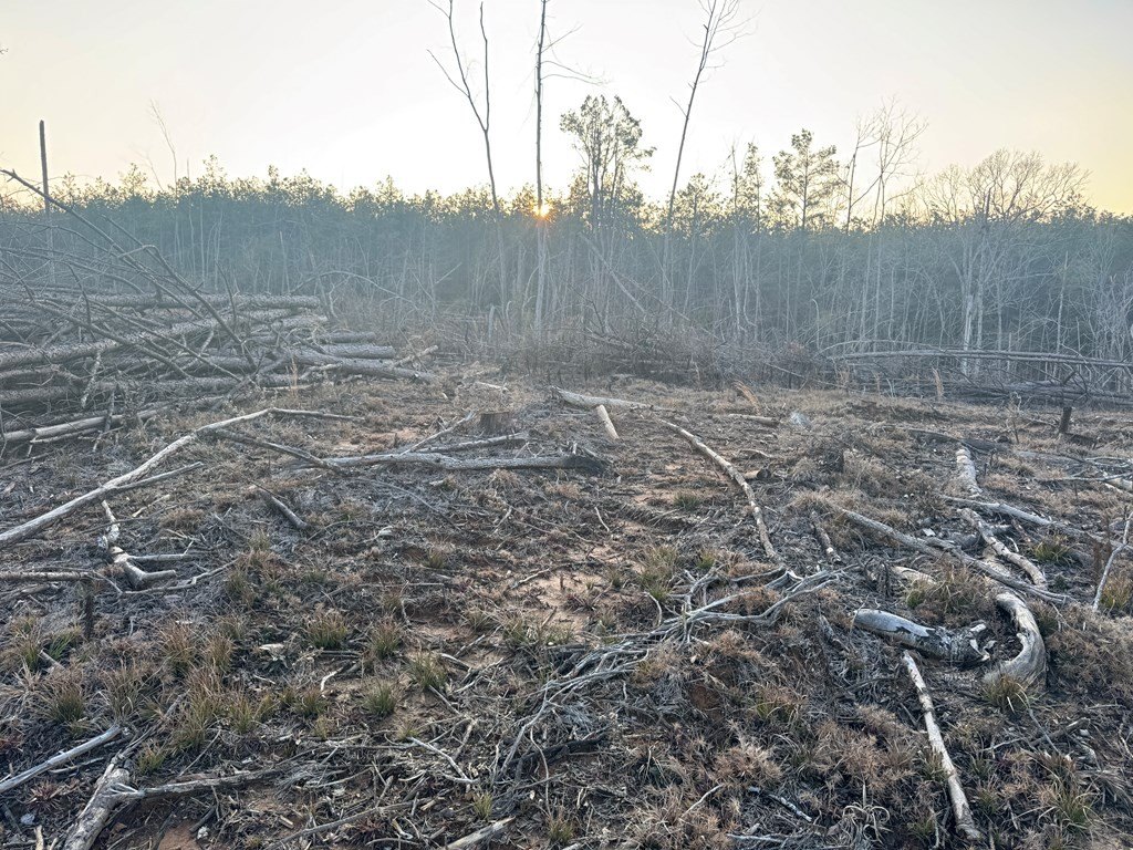 Picture 32
