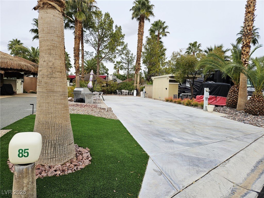 Picture 8
