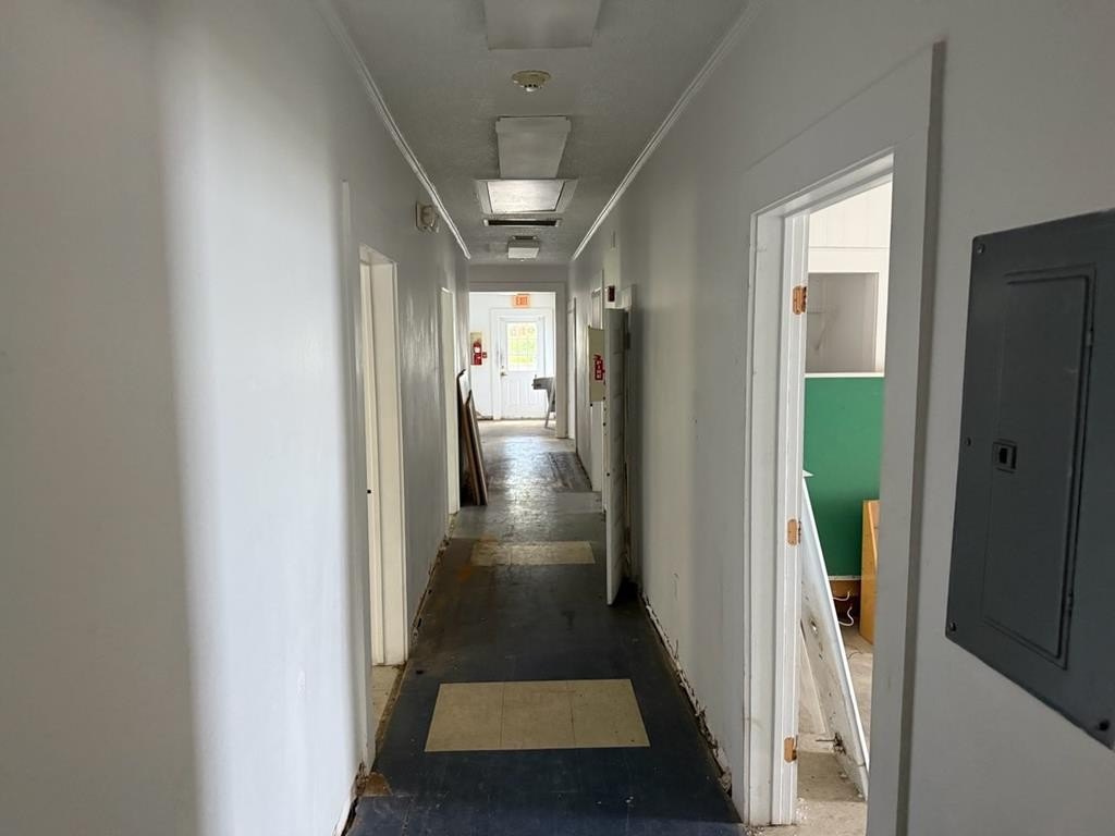 Picture 25