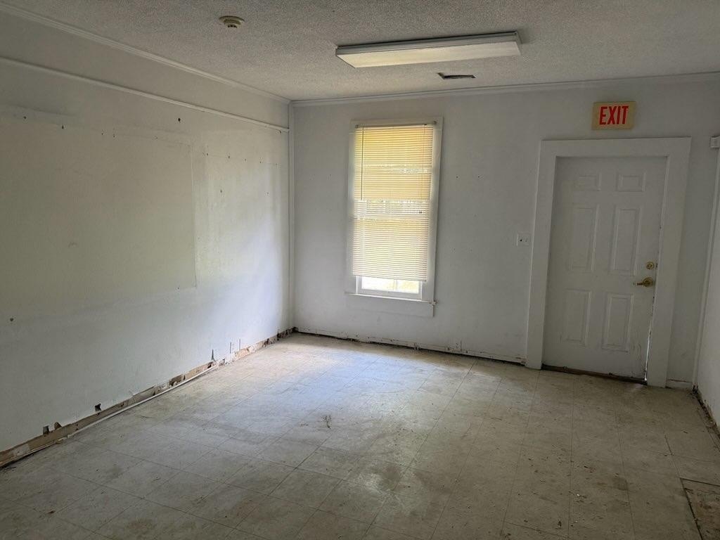 Picture 24