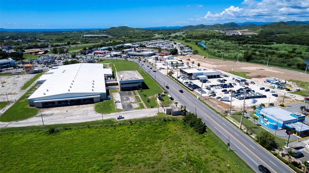 Picture 16