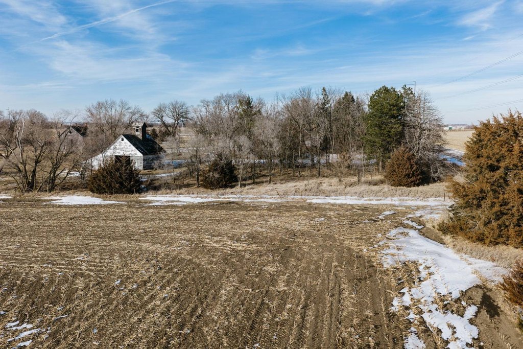 Picture 25