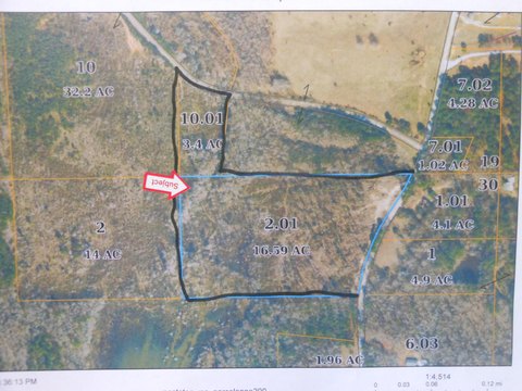 Land with Plantation Pines