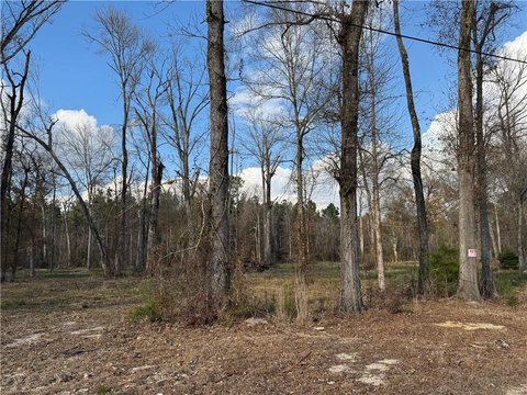 Land, Holden, LA
