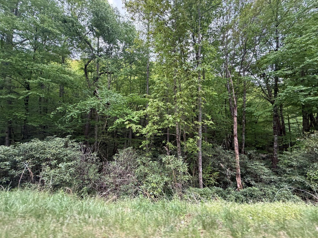 Picture 8