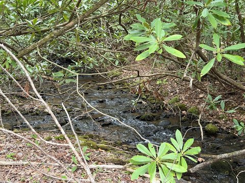 Creekfront Land Near USFS Lands
