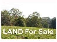 Wooded Land in Harborcreek Township
