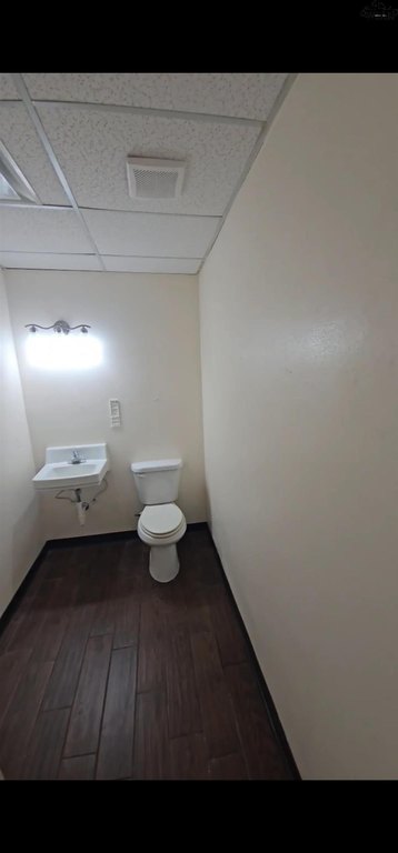 Picture 20