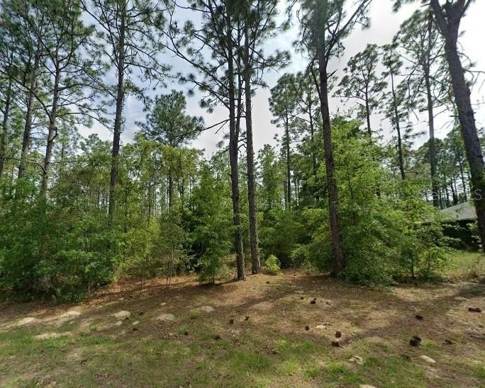 Citrus Springs Land For Sale