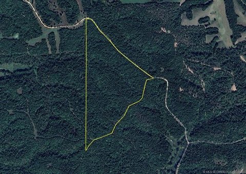 78 Acres of Wooded Land