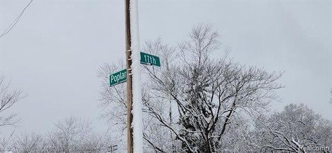 Detroit Land Bank Vacant Lots