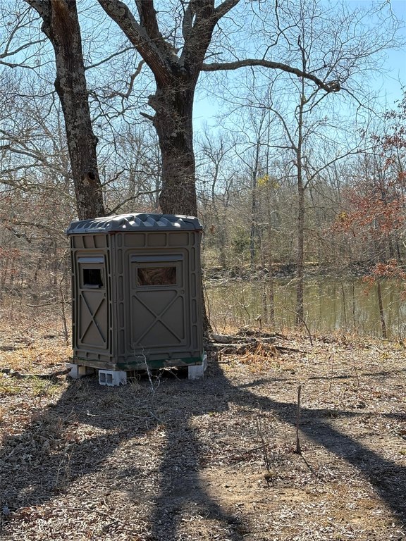 Picture 12