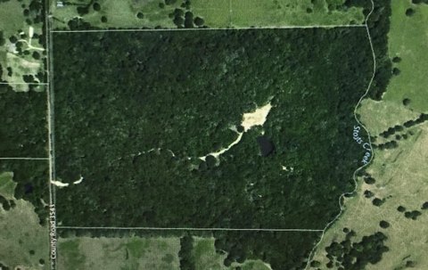 Recreational Land with Spring-Fed Pond