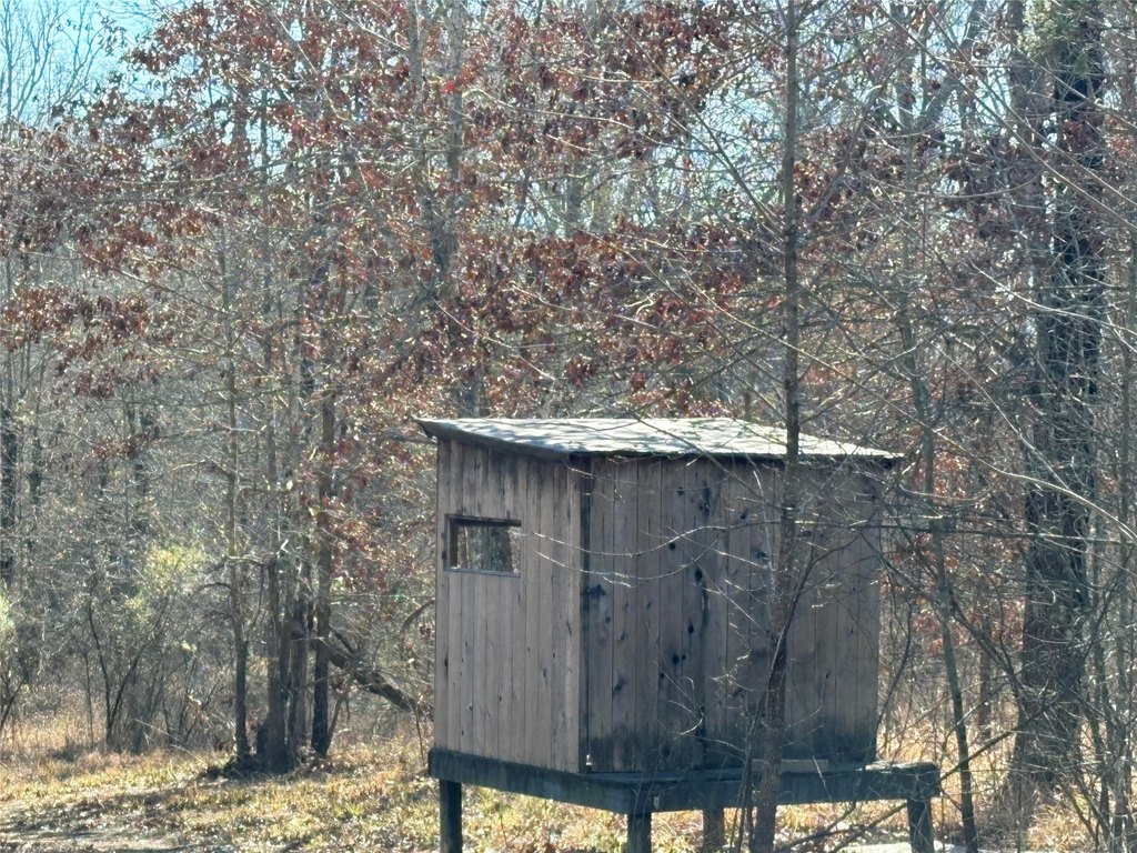 Picture 13
