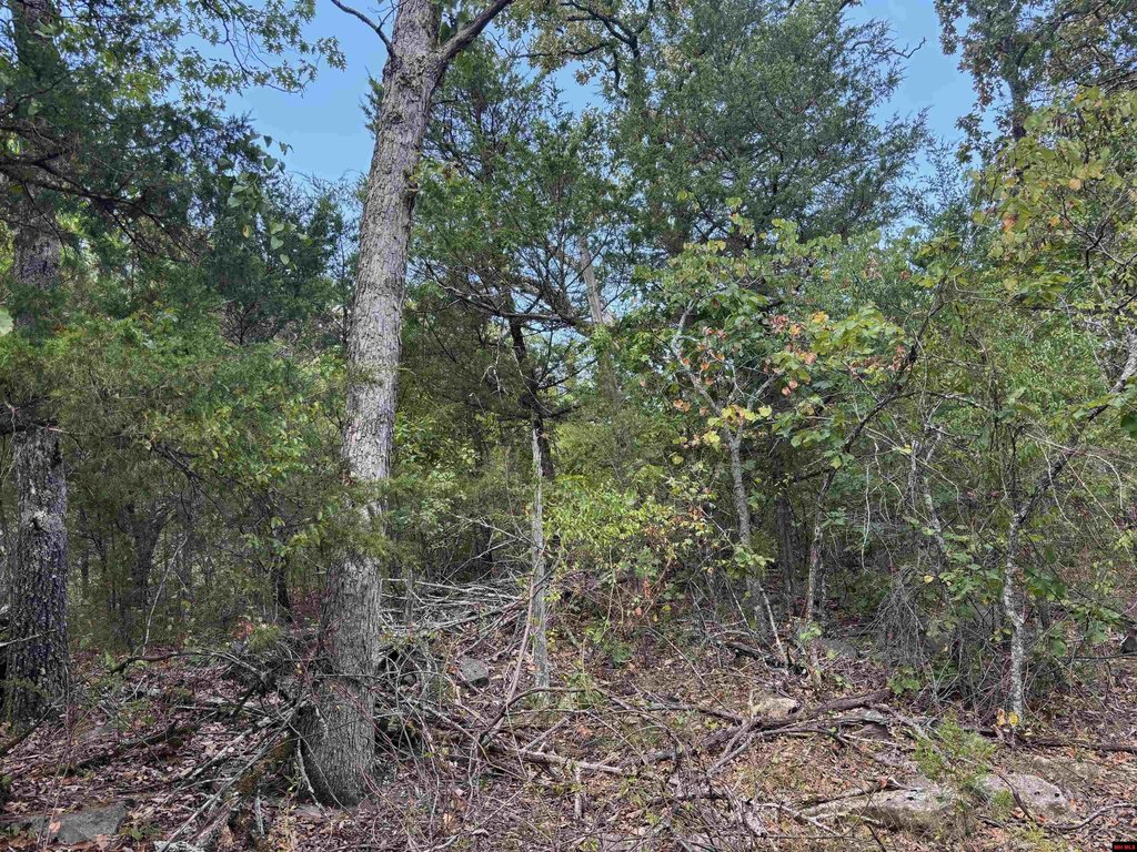 Picture 5