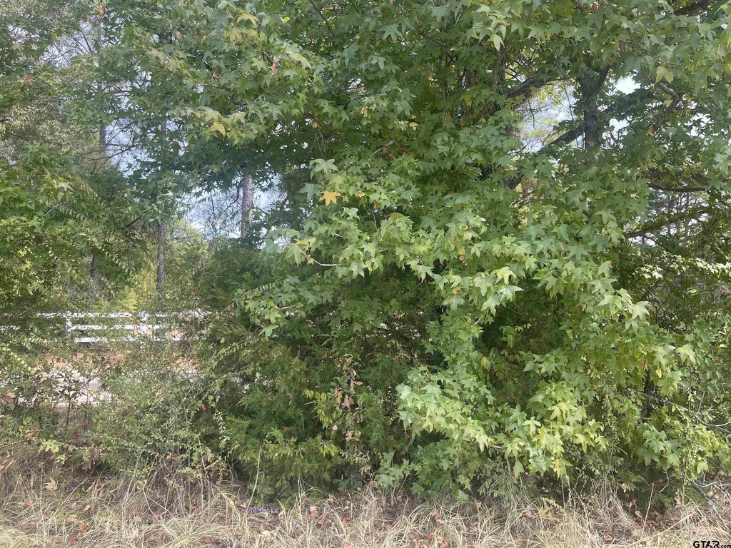 Picture 12