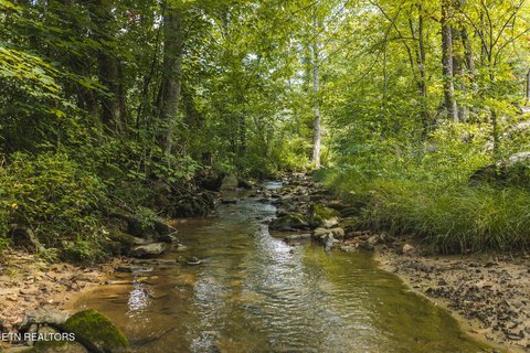 LAND - Sneedville, TN