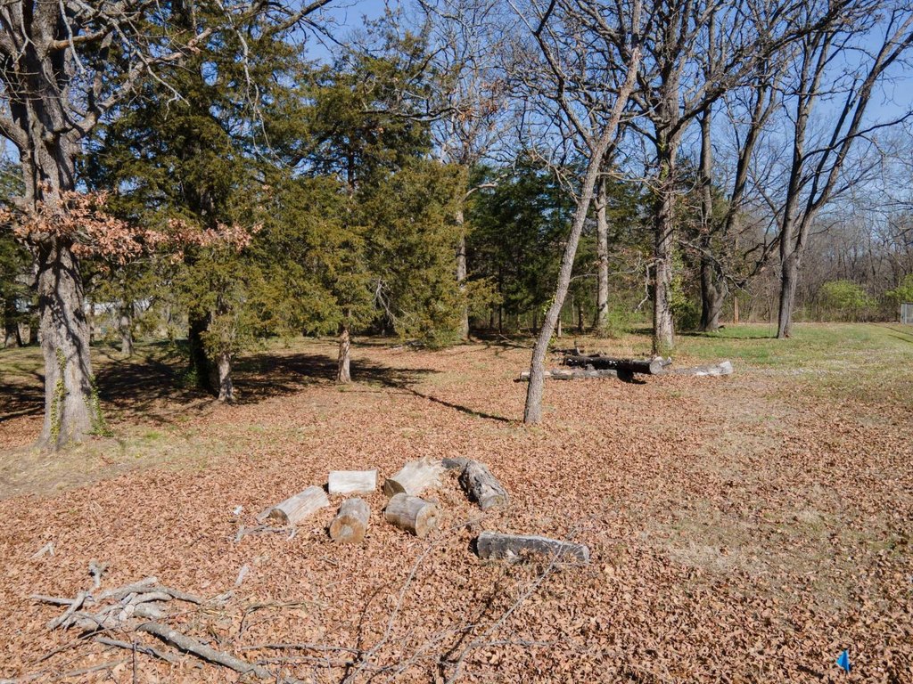 Picture 11