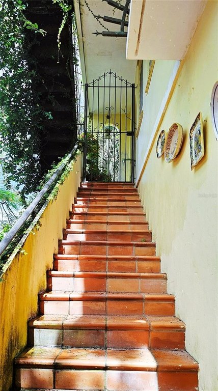 Picture 9