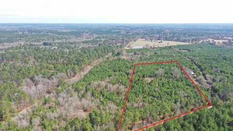 8 Acres Wooded Land, Linden