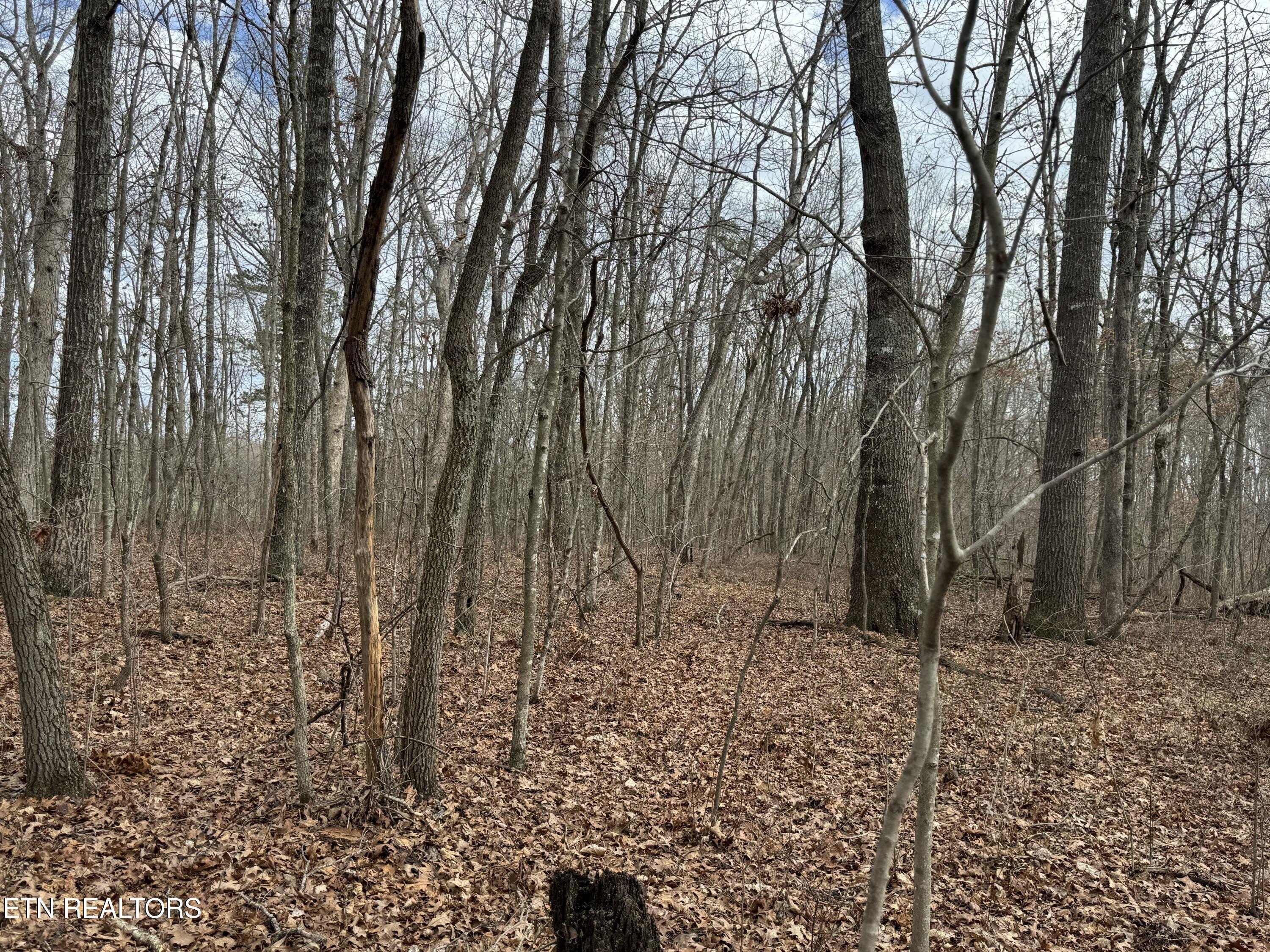 20 Acres of Farmland