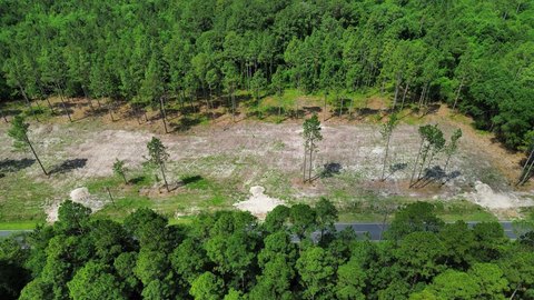 LAND - Harrells, NC