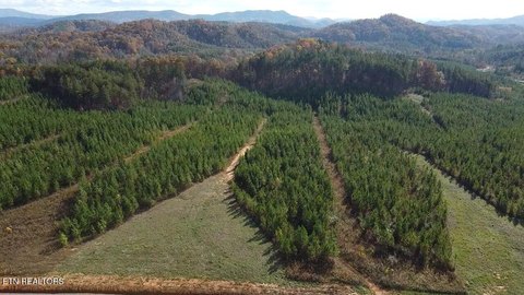 Scenic 5-Acre Lot in Vonore