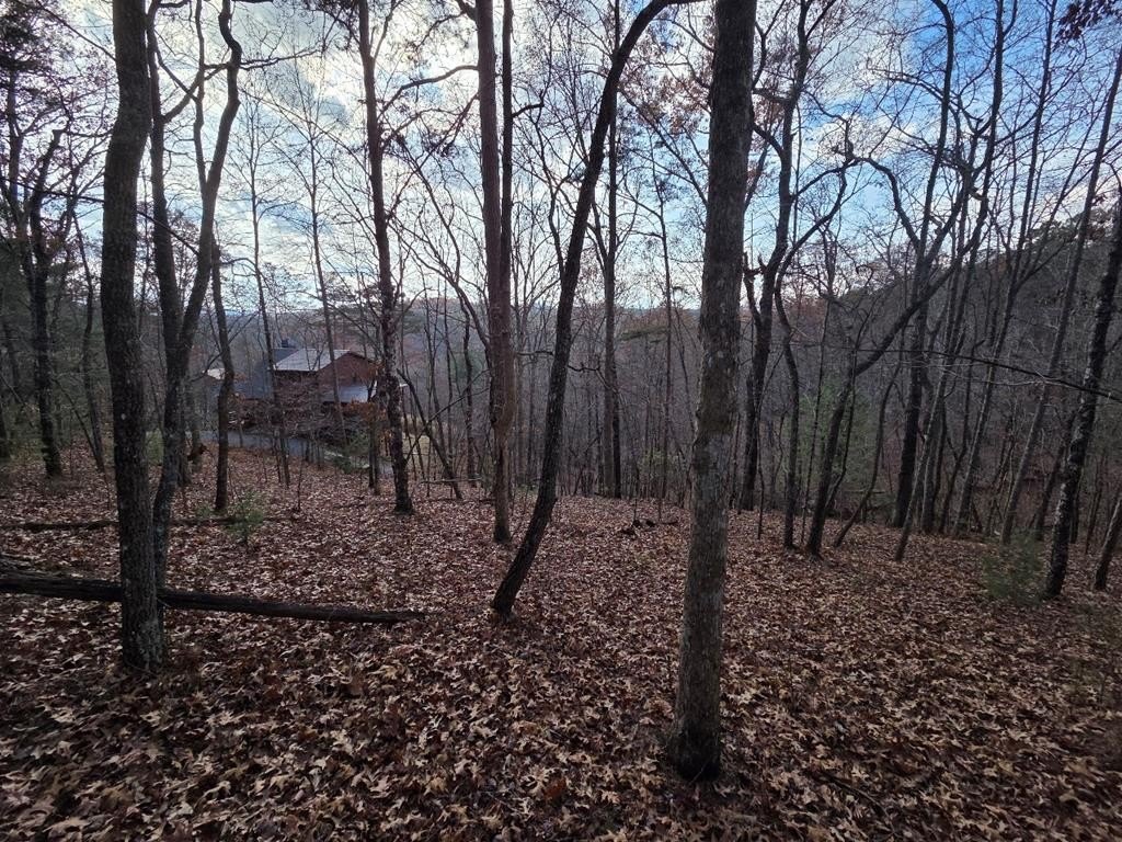 Toccoa River Access Building Lot