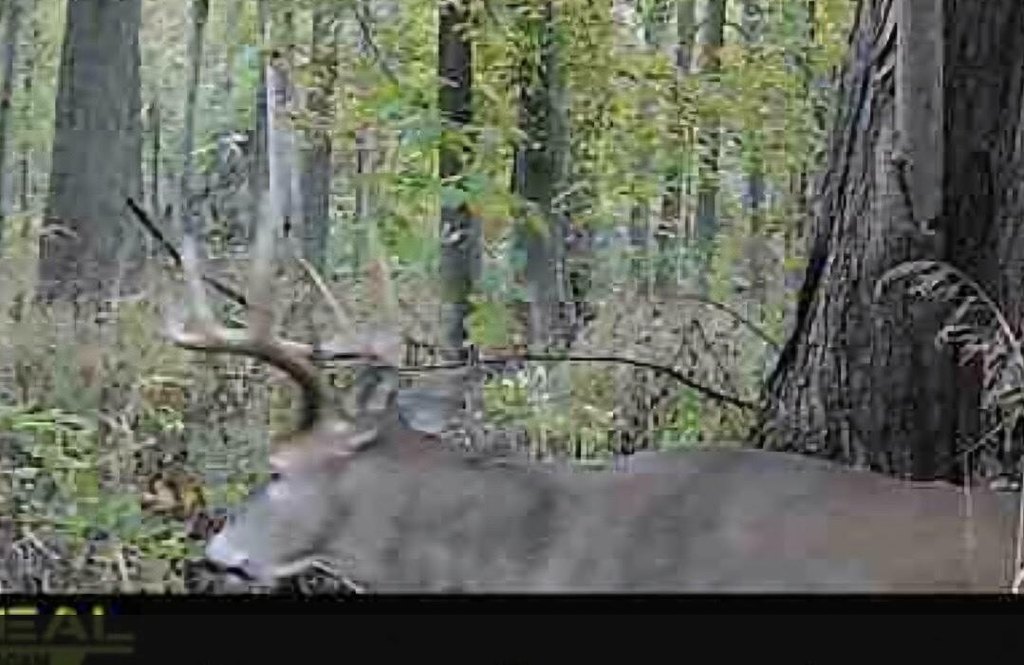 Picture 12