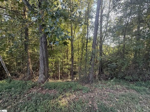 Lots/Land, Townville, SC