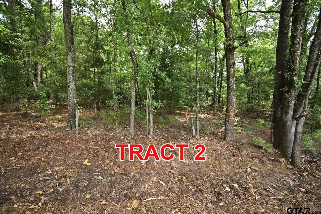 Picture 3