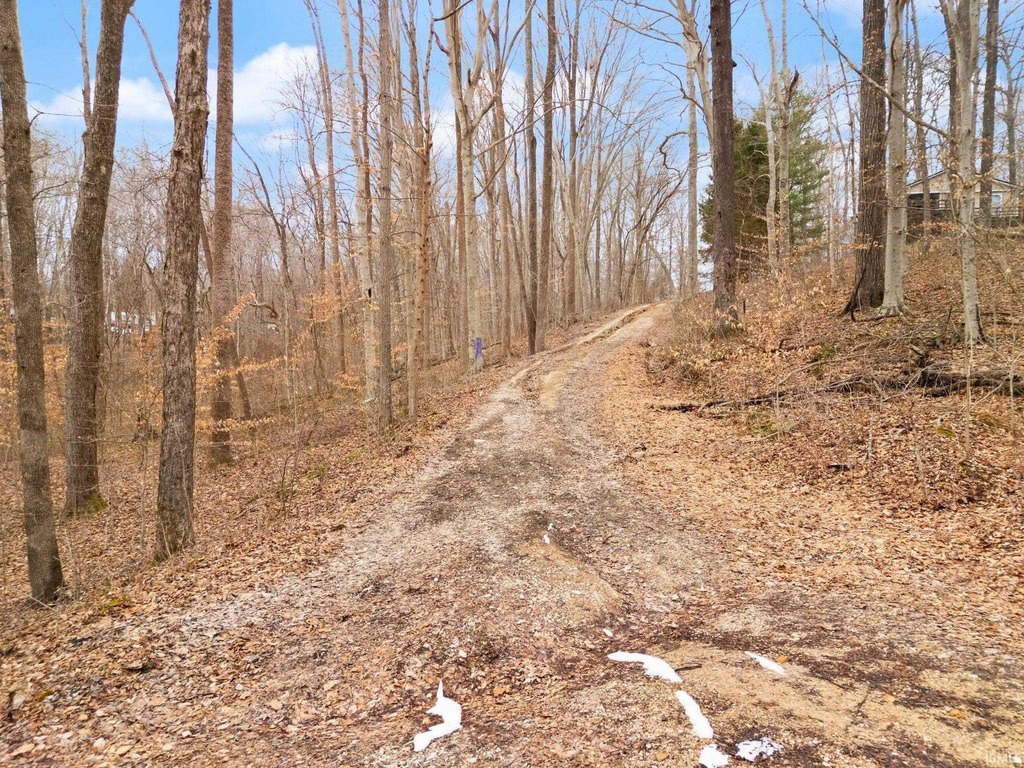 Picture 6