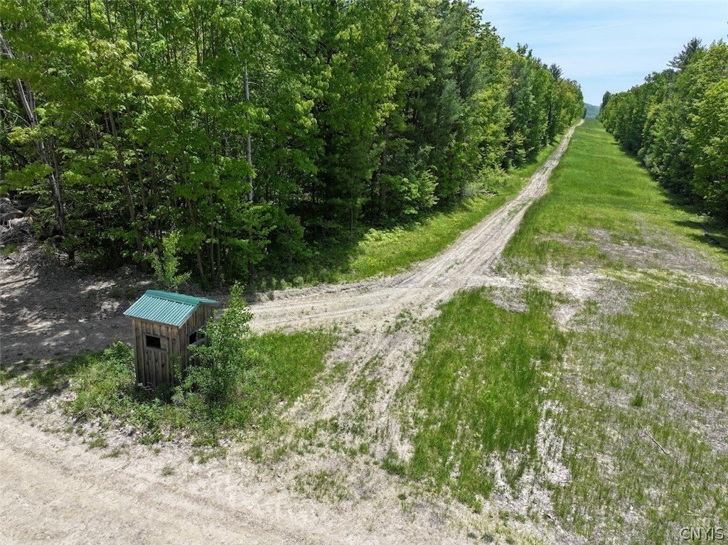 Picture 18
