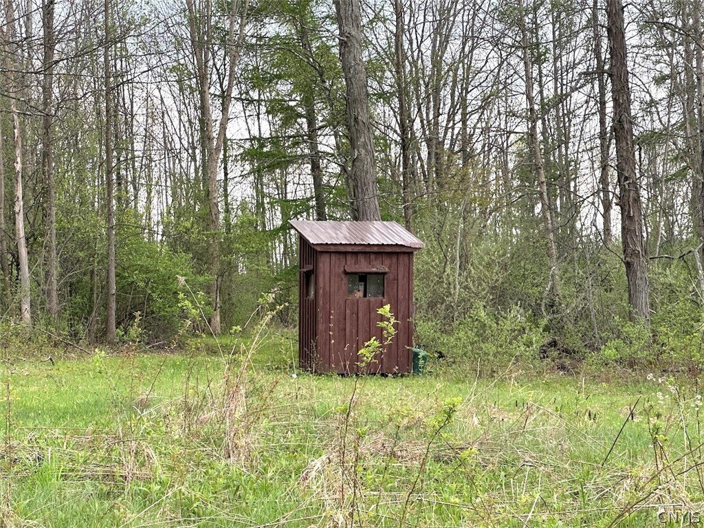 Belmont NY Hunting and Recreational Land