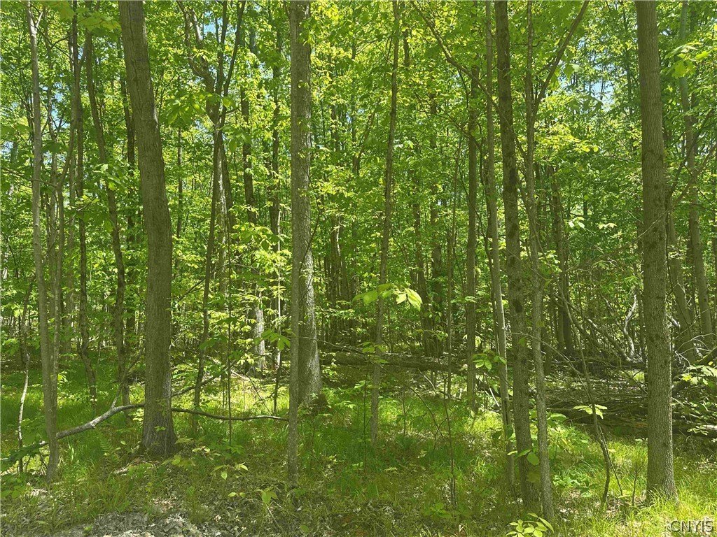 Picture 16