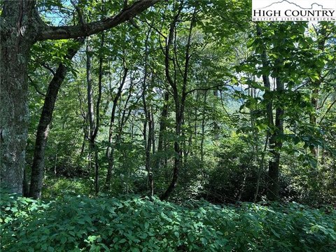 Land in Blowing Rock, NC