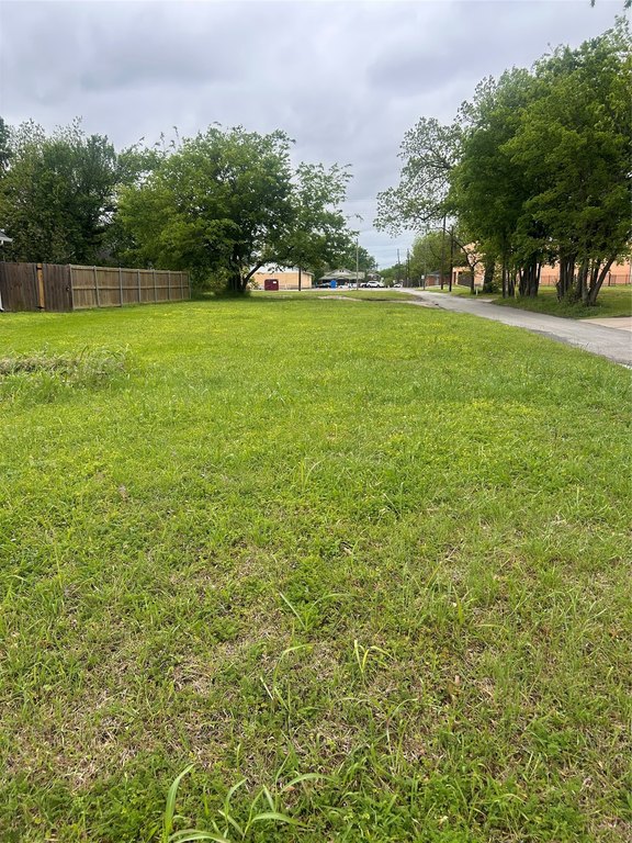 Picture 2