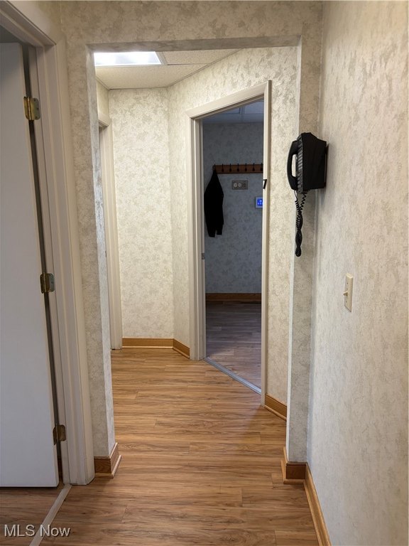 Picture 7