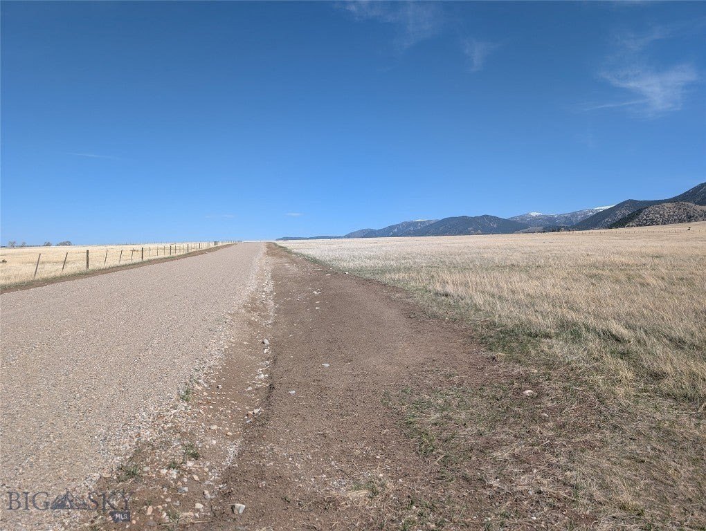 Picture 7