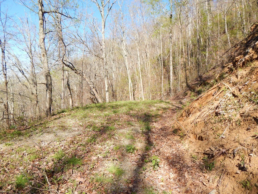 Picture 7