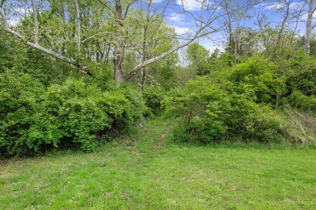 Picture 21