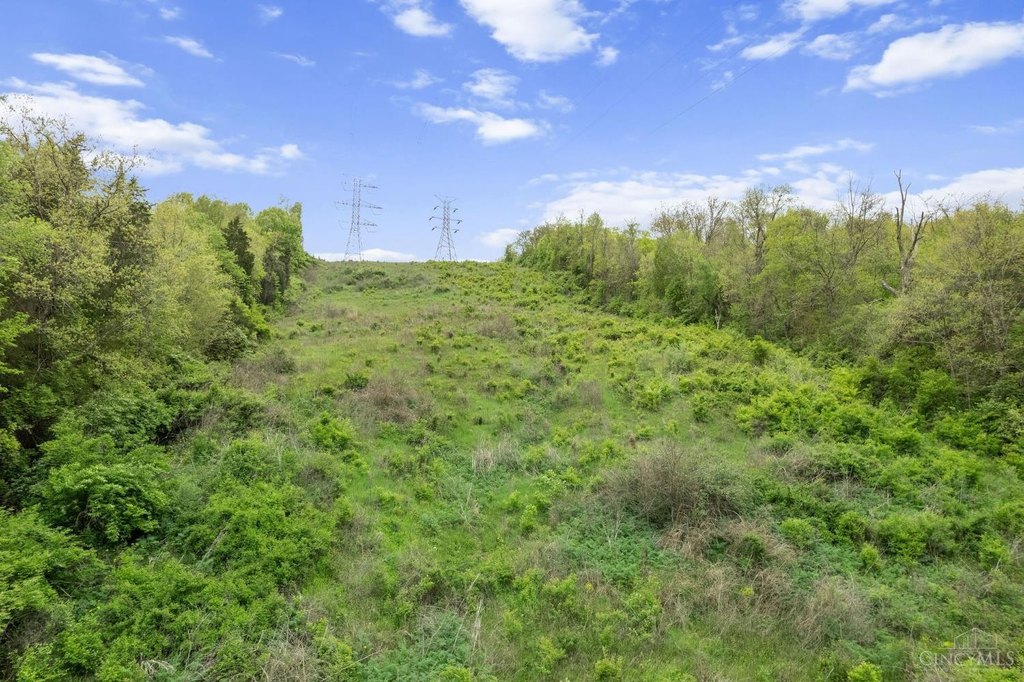 Picture 25